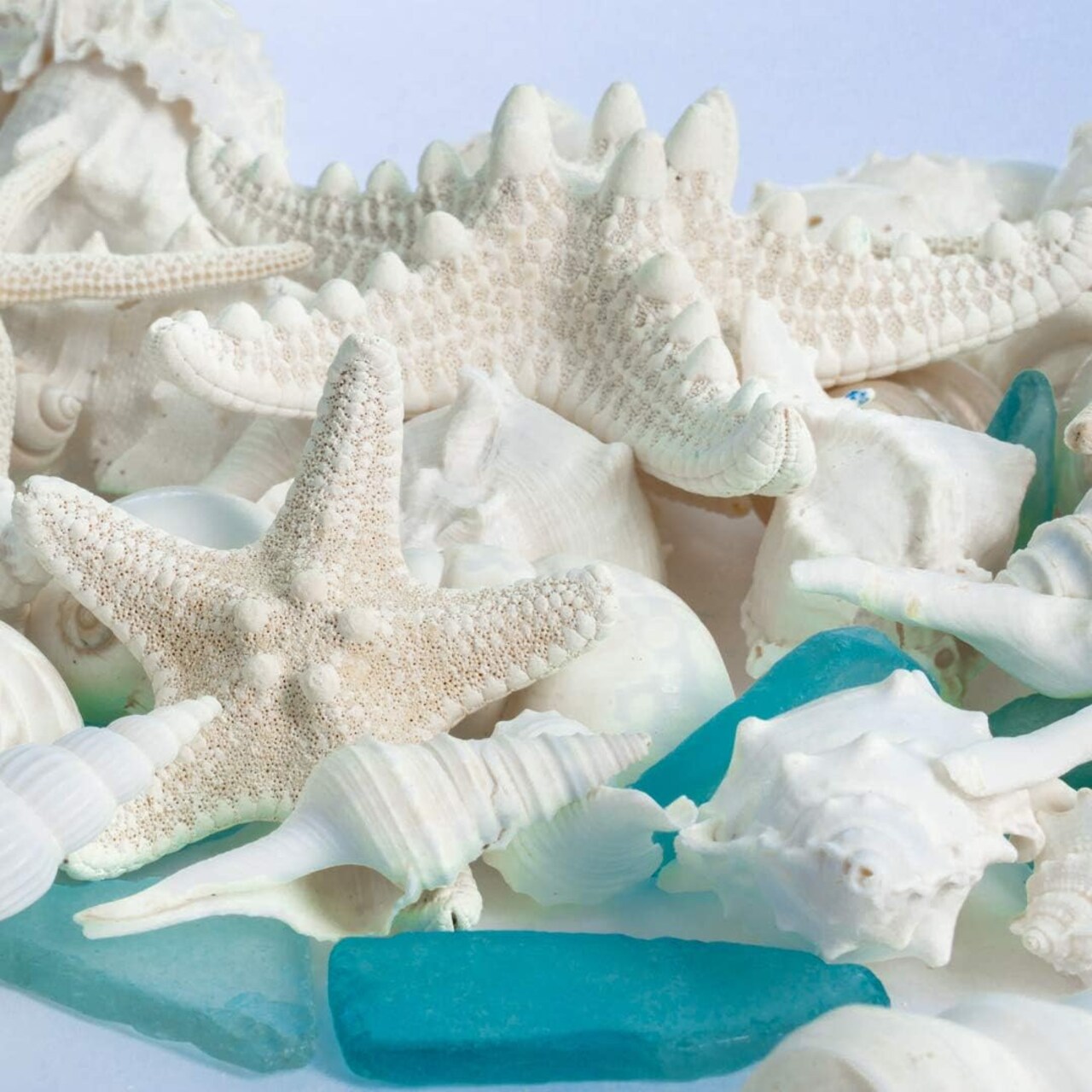 Sea Shells | Real Mixed Beach Seashells with Real Starfish & Caribbean Blue Sea Glass Seashell Wedding (2 Pack)